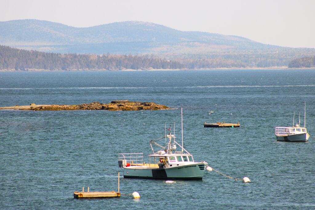 boats on water